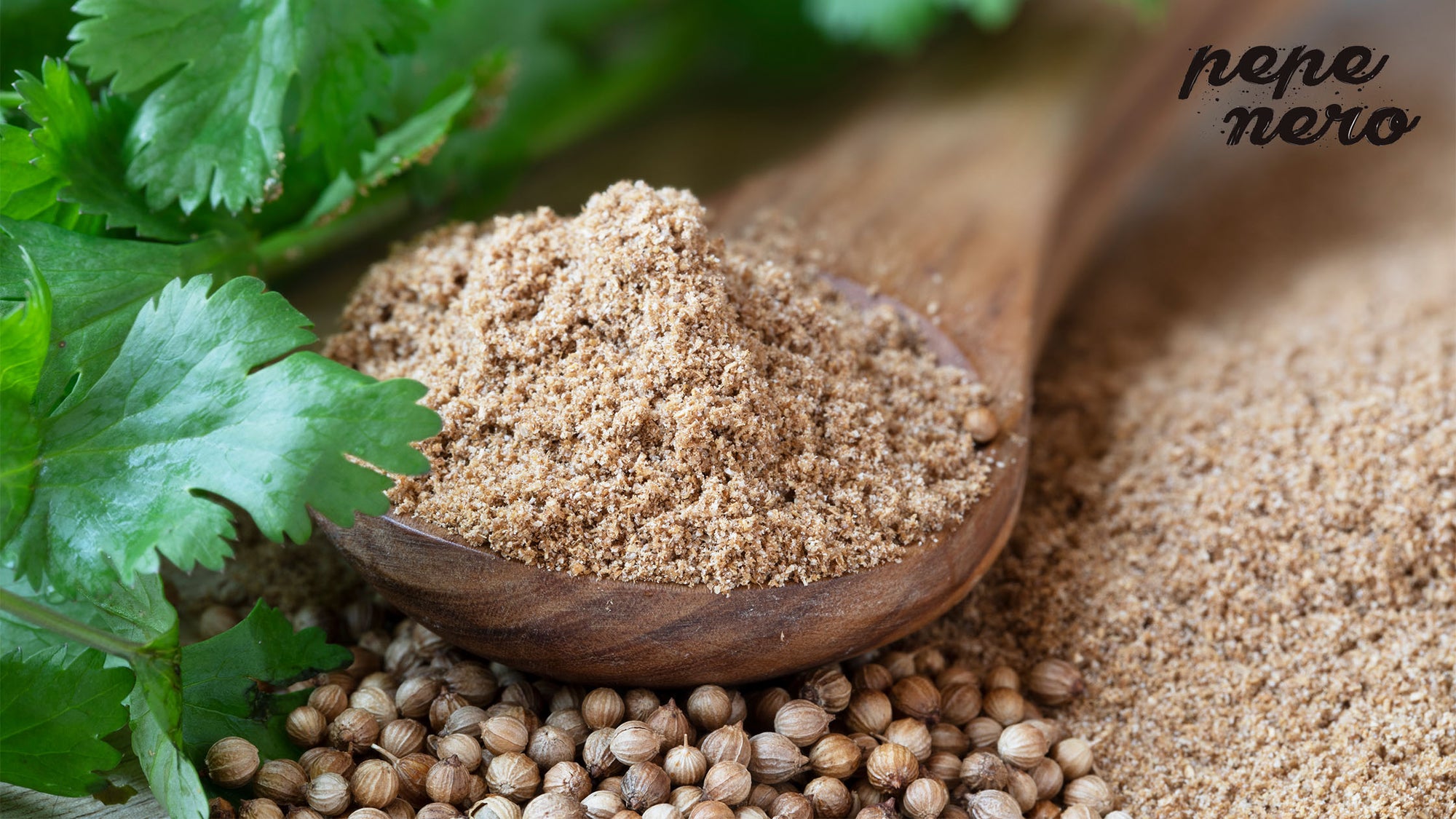 A Simple Guide on How to Grind Coriander Seeds: 6 Ways